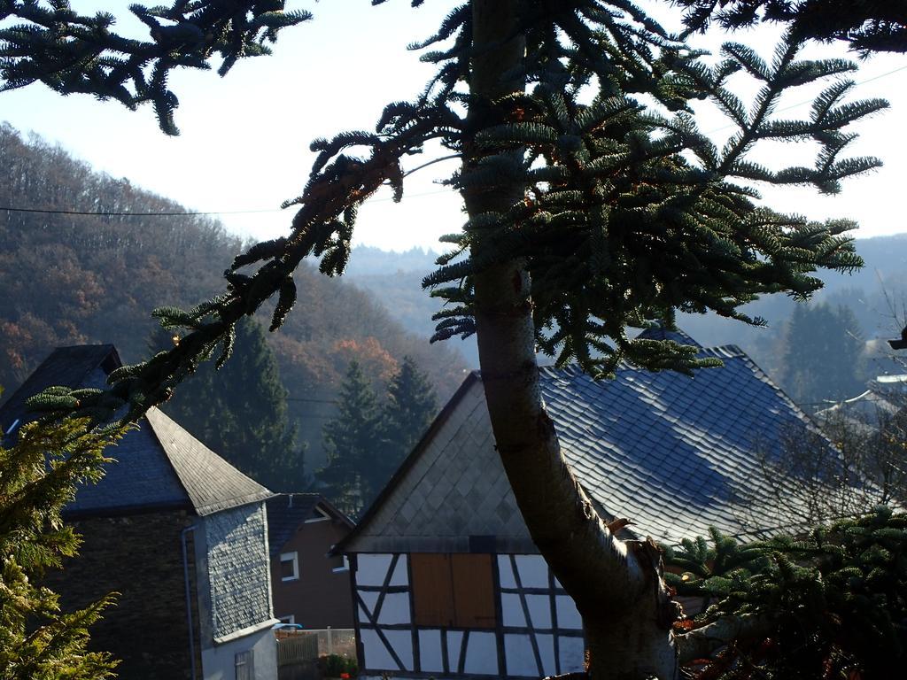 Vakantiehuis Hunsrueck Leisel Dış mekan fotoğraf