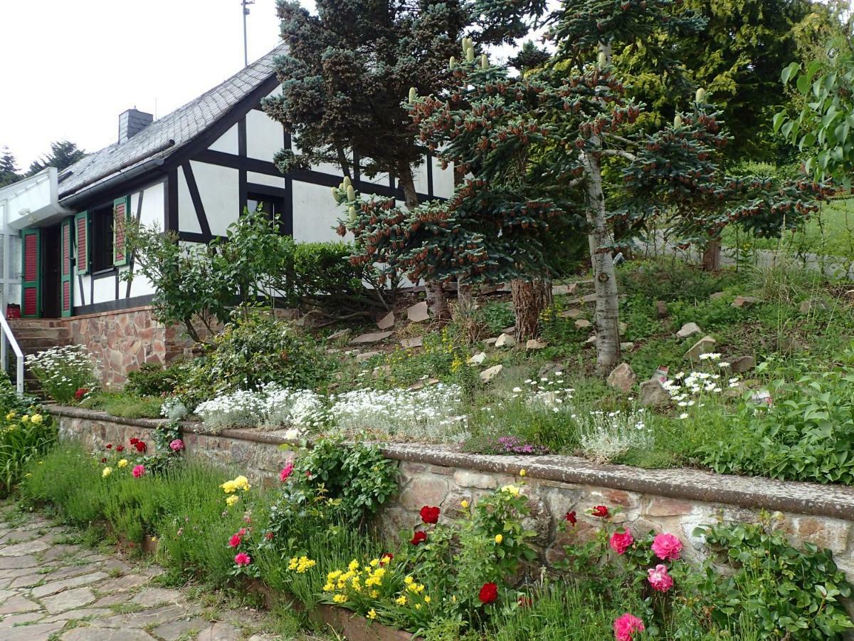 Vakantiehuis Hunsrueck Leisel Dış mekan fotoğraf